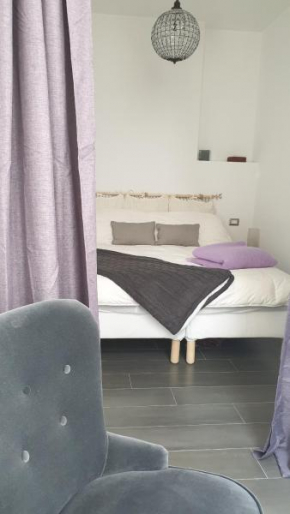 Geko Suite Toledo